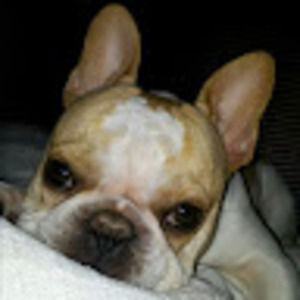 Meet your Posher, Annmarie